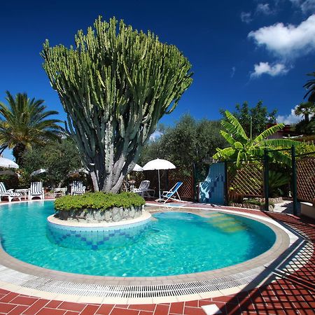 Residence Giardino Del Sole Forio di Ischia Εξωτερικό φωτογραφία
