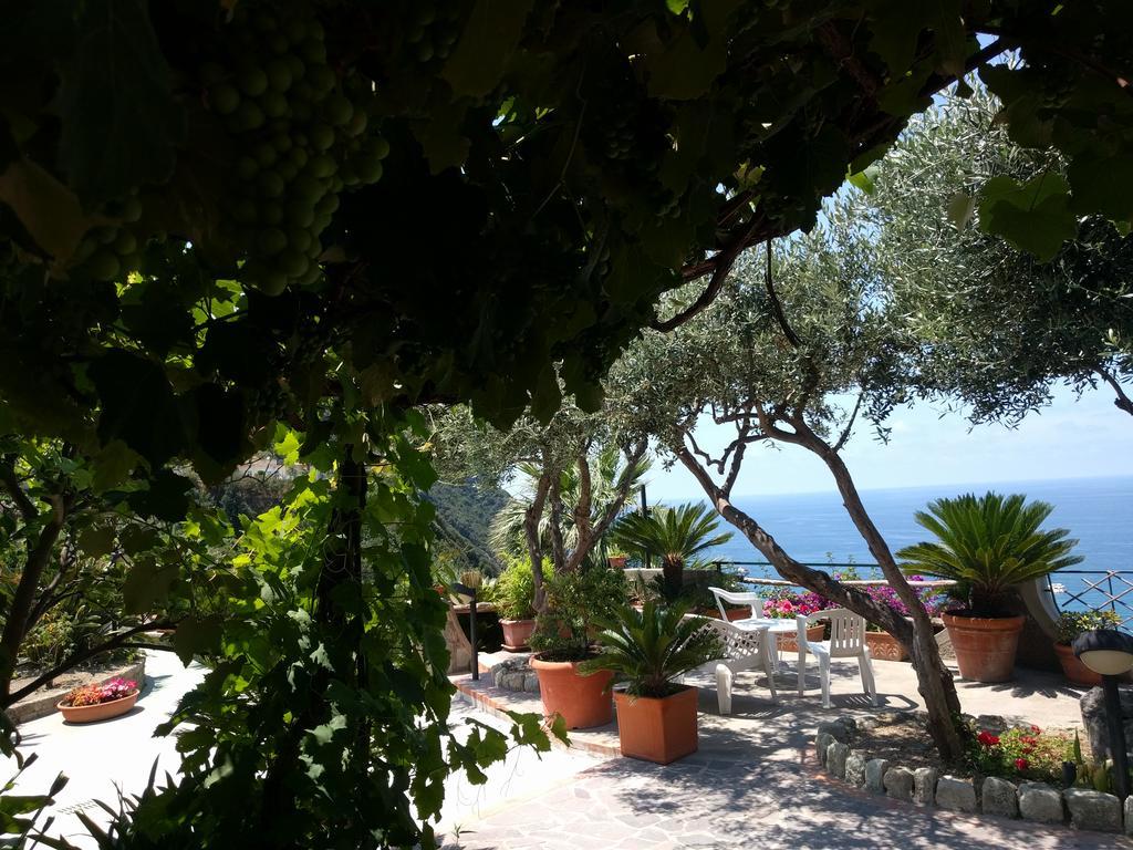 Residence Giardino Del Sole Forio di Ischia Εξωτερικό φωτογραφία