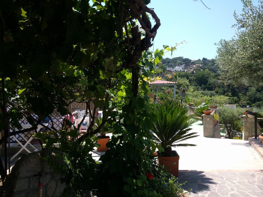 Residence Giardino Del Sole Forio di Ischia Εξωτερικό φωτογραφία