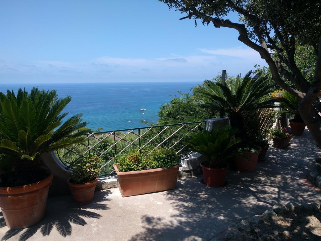 Residence Giardino Del Sole Forio di Ischia Εξωτερικό φωτογραφία