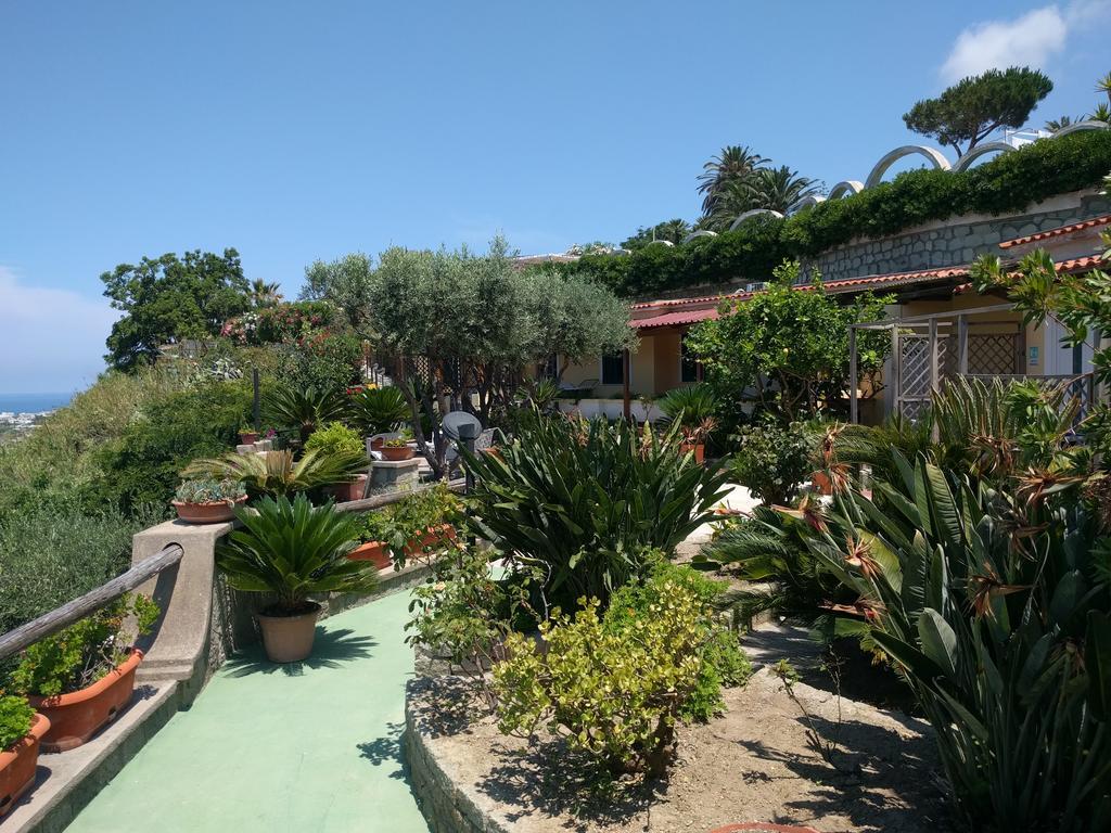 Residence Giardino Del Sole Forio di Ischia Εξωτερικό φωτογραφία