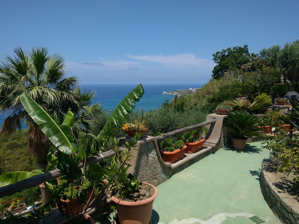 Residence Giardino Del Sole Forio di Ischia Εξωτερικό φωτογραφία
