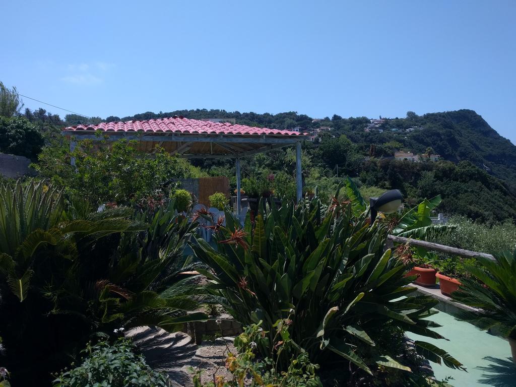 Residence Giardino Del Sole Forio di Ischia Εξωτερικό φωτογραφία