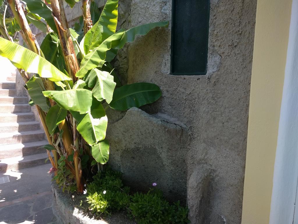 Residence Giardino Del Sole Forio di Ischia Εξωτερικό φωτογραφία
