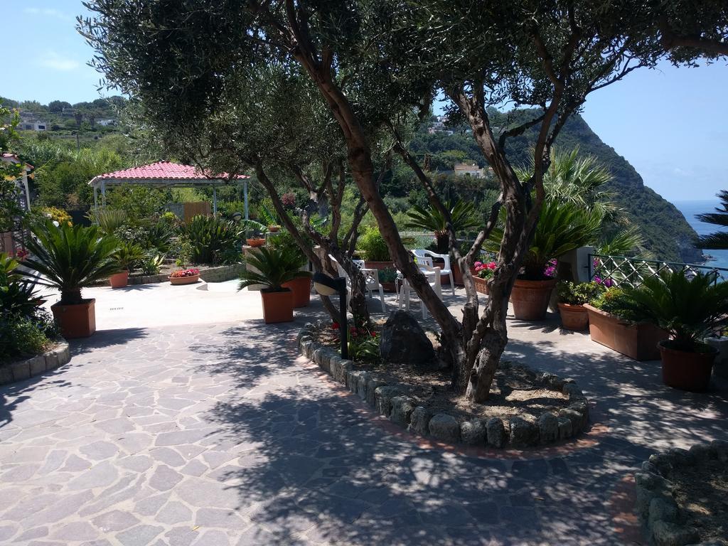 Residence Giardino Del Sole Forio di Ischia Εξωτερικό φωτογραφία
