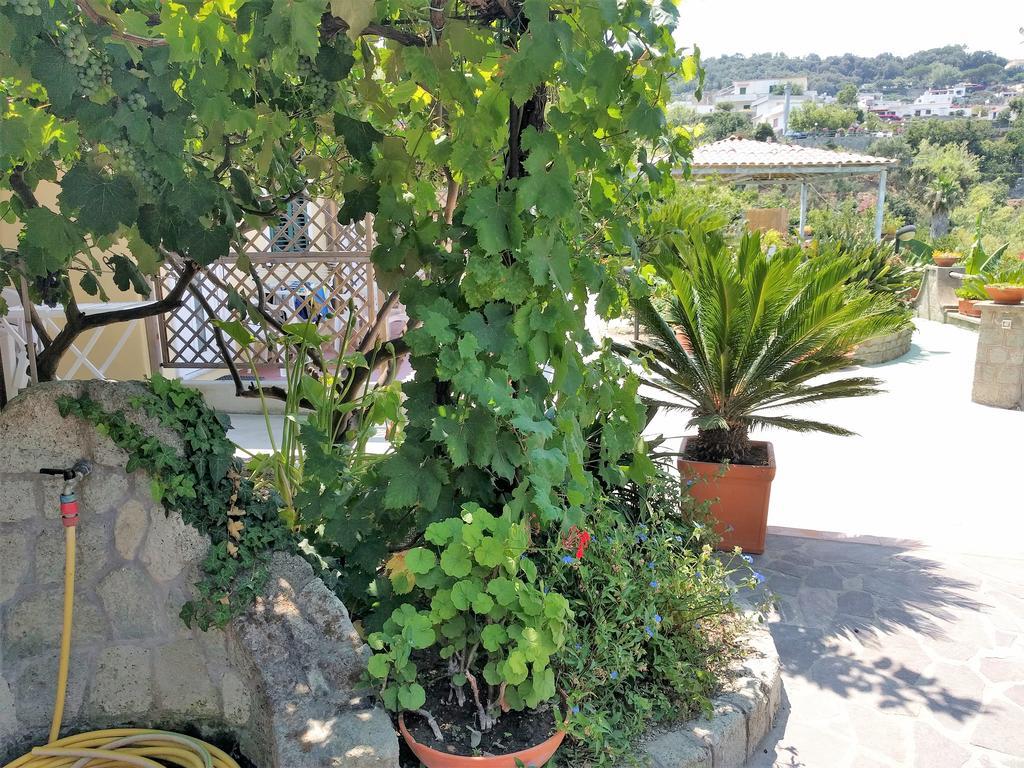 Residence Giardino Del Sole Forio di Ischia Εξωτερικό φωτογραφία